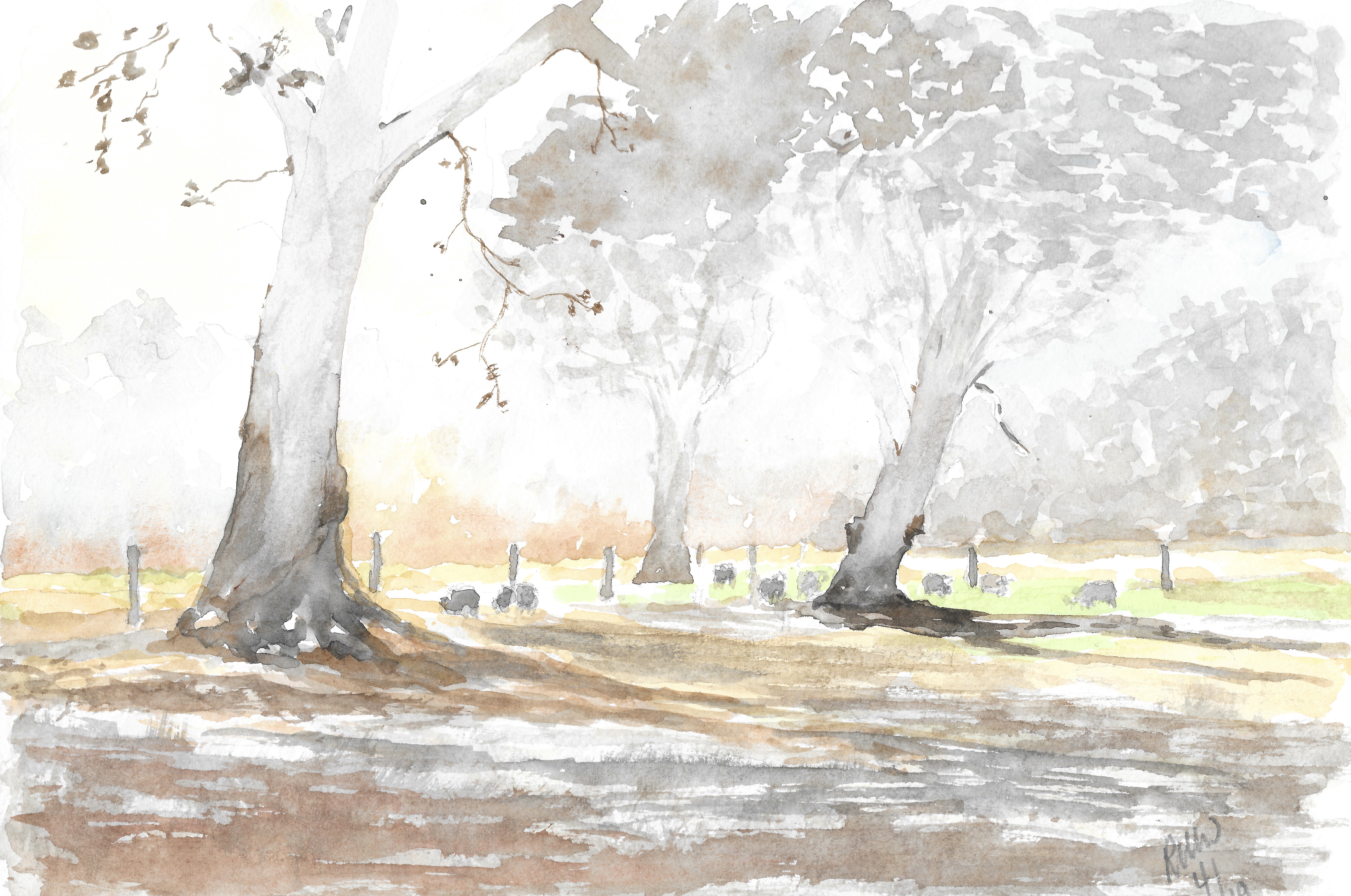 Sheep in the mist, after J. Zbukvic