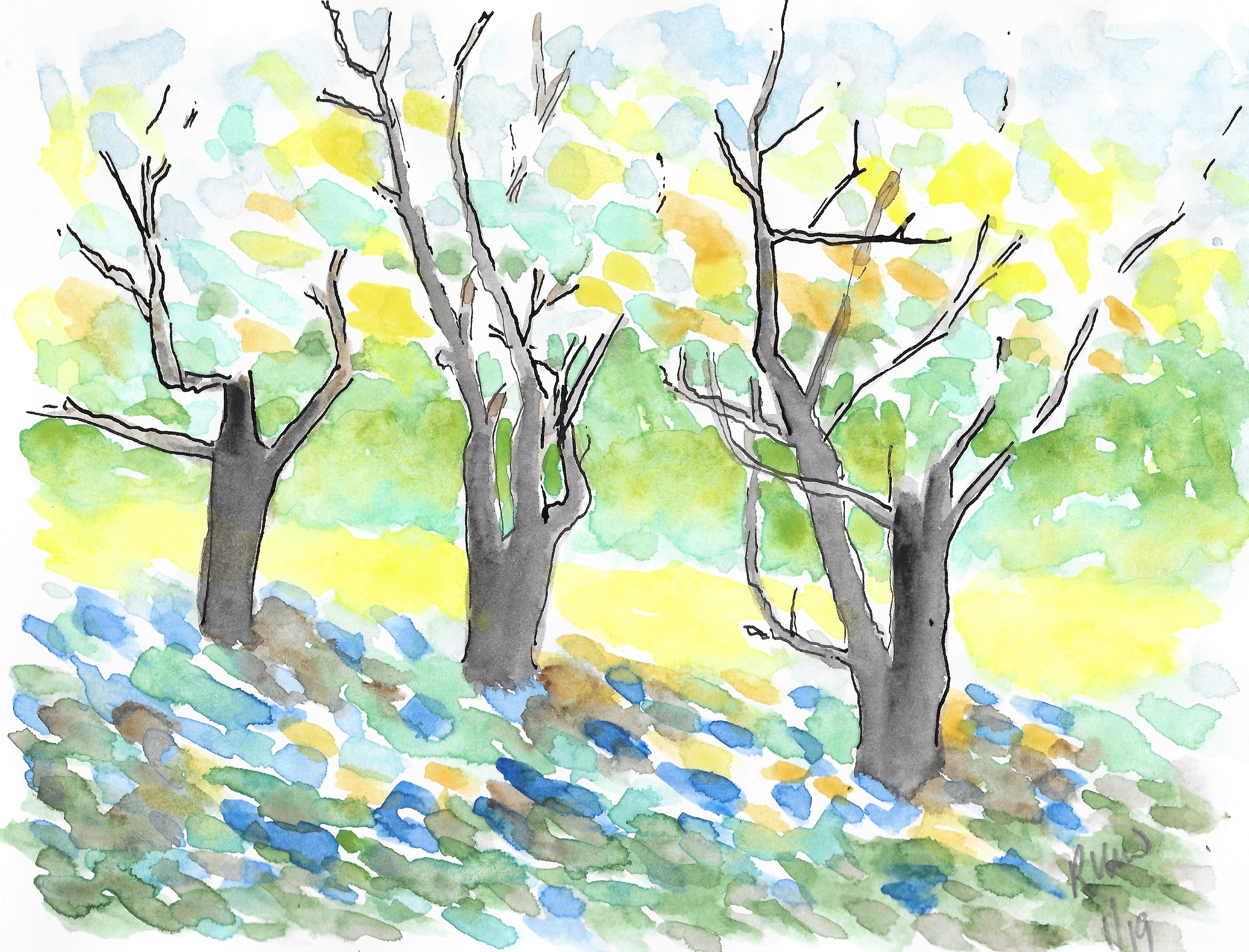 'Light through trees' - after Trisha Adams