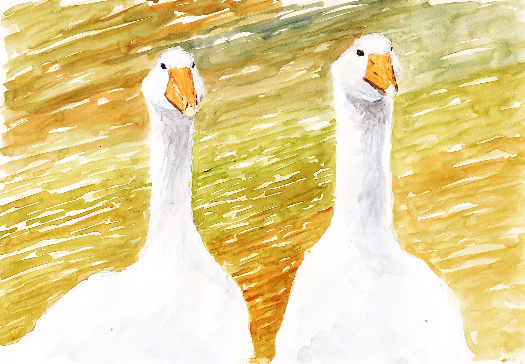Bowland Geese (2)